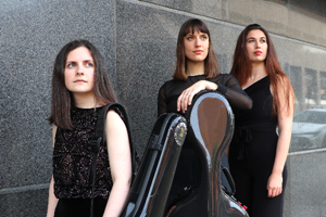 Lark Piano Trio Profile Picture